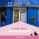 셀린약국 이미지