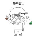 완도네시아 이미지