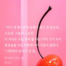 홍불 이미지