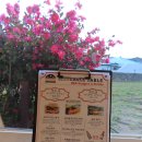 사남매 하우스 이미지