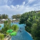 (주)성공렌트카 | 세부 야경 명소 추천 탑스힐 레아신전 렌트카 투어