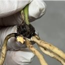 대건메디칼 이미지