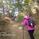 수리산둘레길 이미지