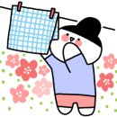 워시피플셀프빨래방성남
