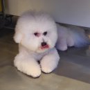 제이앤제이그루밍 이미지