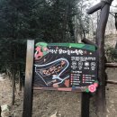 구덕산 유아숲체험원 이미지
