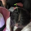 다녀왔어