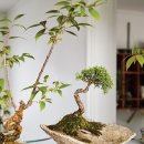 자연시간 이미지