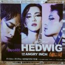 뀨러기 이미지