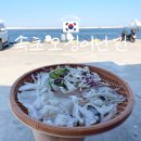 한원호 | 속초 동명항 오징어난전 기간, 시세, 추천 가게(한원호) 내돈내산 후기