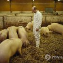명대농장 이미지
