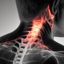 대기구 필라테스 (오전) 이미지