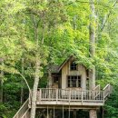 트리하우스 이미지