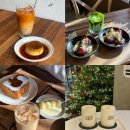 뽑기플러팅 | 제천 카페 추천, 녹초 / 언무드 / 티카페차센 솔직 후기