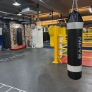 WS 복싱클럽 이미지