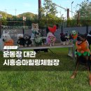 시흥승마힐링체험장 이미지