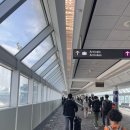 훈이마트 | 🇨🇦캐나다 토론토 어학연수 1~6일차 | 다운타운 장보기 | 출국 | ILAC 후기