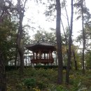 대변항2 이미지