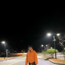 192003 | [아크네 스튜디오] 나일론 패딩 펌킨 오렌지 L 사이즈 구매 후기 (SSENSE 구매)