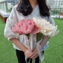 자이언트 플라워 네이버블로그