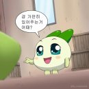 MogO 후기/ 무야호~~