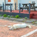 순덕민박 이미지