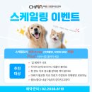 목동찬동물의료센터 이미지