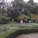 서울대학교 농업생명 과학대학 관악수목원 이미지