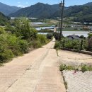 로얄 - 화성시 역골동로 5-23 | 평창 애견 동반 가능[산멍스테이] 로얄룸 후기