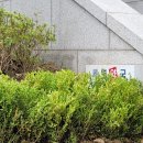 가까운동문약국 이미지