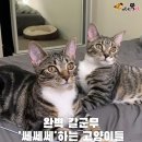 푸른하늘은하수 이미지