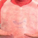 상남동174 이미지