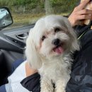 현도초등학교 이미지