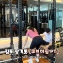 피브이짐 네이버블로그
