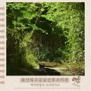 공공용 6 | 울산 북구 공공산후조리원 예약팁과 가격 솔직후기