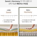 💍신혼 침대 투어 :: 에이스, 슬로우베드, 한샘, 씰리, 금성침대 인기 매트리스 상담 후기 후 최종픽은?🛏