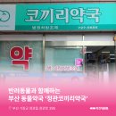 정관코끼리약국 이미지