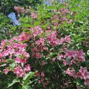 삼화리낚시터 | 화성 봉선대산, 삼봉, 해망산
