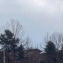 서울중대초등학교 이미지