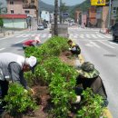 정선읍사무소 이미지