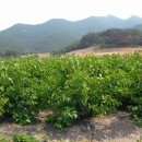 송림농산물유통