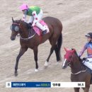 마라온 일간스포츠