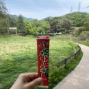 영민푸드트럭 이미지