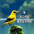 행복한의료기 이미지