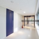 데일리팜 이미지