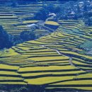 마천조망공원 이미지