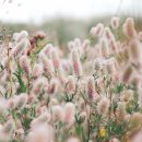 이성운수 이미지