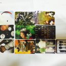 솔라리움 이미지