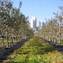 스톱(stop) 이미지