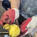 의좋은형제 공원 | 2025 충남 예산 의좋은 형제 축제 후기(주차, 무료체험, 행사 일정, 꿀팁)